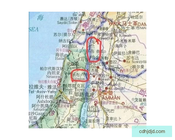 伊朗对阵叙利亚精彩对决全程直播解析比赛关键瞬间